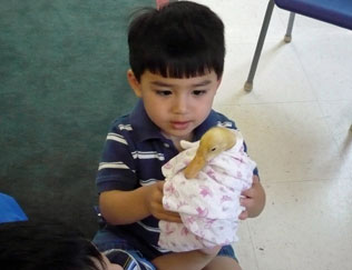 montessori school boys