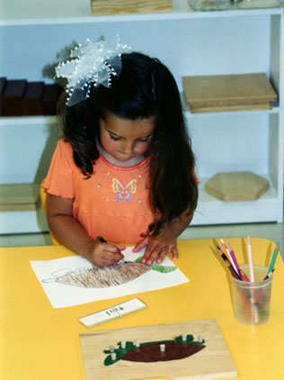 girl drawing